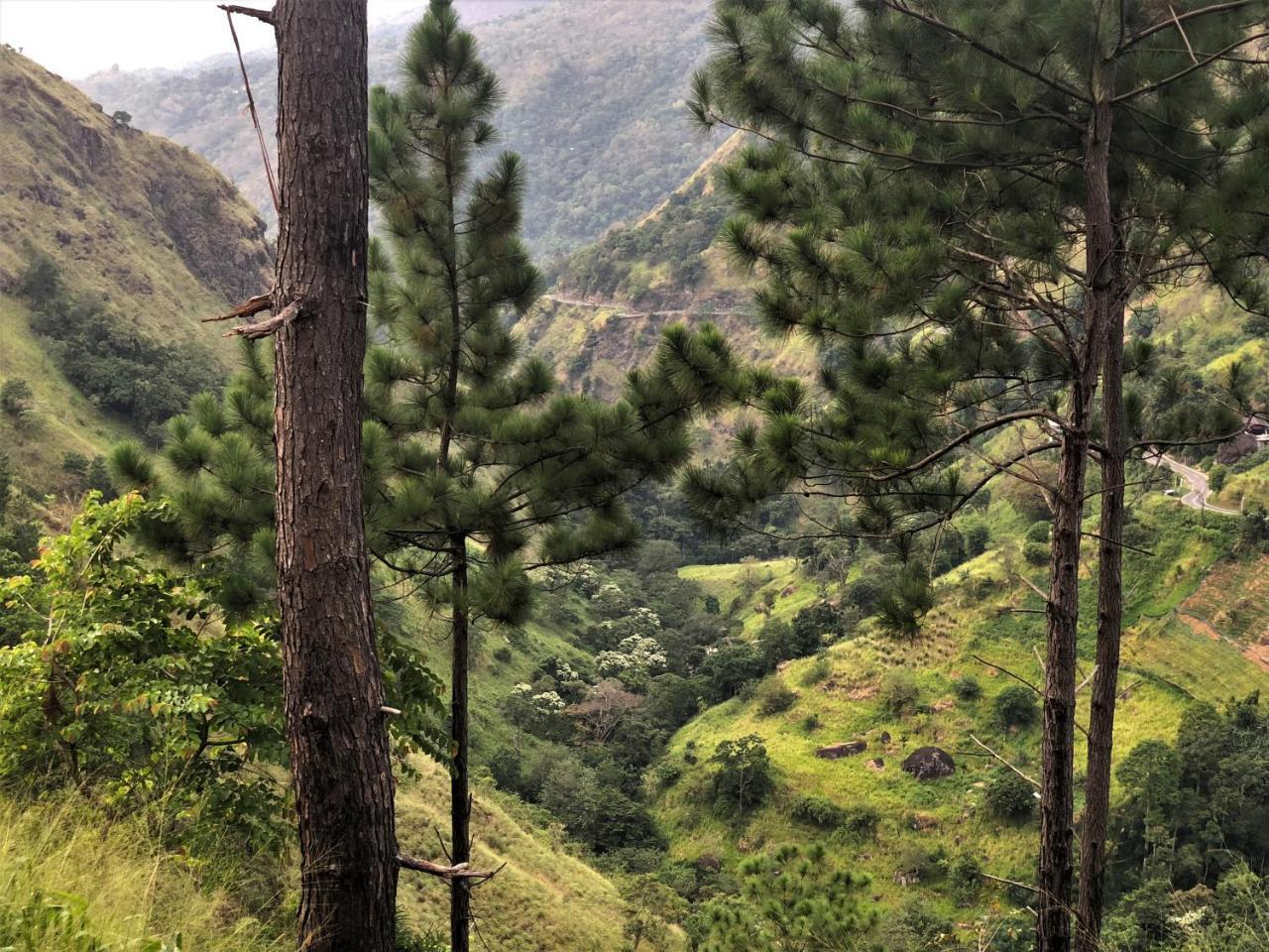 The Ella Valley Buitenkant foto